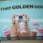 Customized color book full color printing