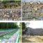 Galfan Wire Gabion Box, Zinc Alloy Gabion Basket