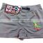 Cartoon Panty Boy Shorts Boxer Manufacture In China OEM Nice Classic Kids Underpants Children Thongs Underwear