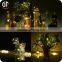 Hot Sale LED Light Christmas Decoration Battery Operated LED Indoor Light