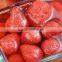 Canned strawberry