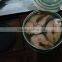 China Factory sell custom health mackerel canned seafood with all size