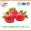 New crop High quality chinese Fresh Strawberry