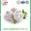 Top Quality Factory Price Fresh White Garlic