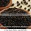 Black Pepper oil (Kali Mirch) (Piper nigrum)