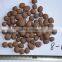 4-8mm 8-16mm Hydro Expanded Clay for Hydroponics, Aquaponics Aquarium etc.