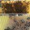 Automatic style honey flow bee 7 frames solid wooden beehive for sale/price bee hive