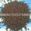 dap fertilizer for sales