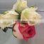 Fresh Cut Flower Varieties fresh rose flowers hot selling