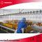 5000bph waterbath electric chicken stunning equipment