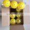 High Quality Eco-friendly durable usapa Approved Pickleball