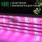 VANQ led strip growing light for lettuce,30w 4ft grow lamp tube,vertical farm grow led light