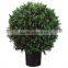 artificial topiary ball plant of grass plant boxwood with flower pot