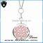 Stainless Steel Essential Oil Diffuser Perfume Aromatherapy Locket Pendant Nekclace
