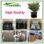 Garden Grow Bags Type PP nonwoven fabric plant bag