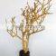 Natural Unique Branches + Rasin Base Decorative Aquarium Ornament