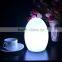 Battery Operated RGB LED Egg Table Lamp for Decoration