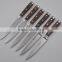 Professional Steak Knife Set