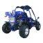 EEC/EPA COC certificate 300cc road legal buggy