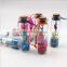 Diy 12 Constellations Glass Washing Bottles Custom Printing Logo Washing Bottles for Birthday Gifts 2016