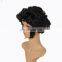 MPW-0010 carnival halloween men crazy Elvis Presley wig