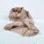 Wholesale Cashmere Scarves, Women Scarf, Woven Cashmere Shawl