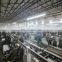 Shijiazhuang Tianquan Textile Co., Ltd.