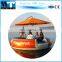 2017 newest design aqua donut sunshine bbq boat for sale