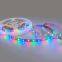 2019 hot selling 2835 RGB led strip colorful flexible strip