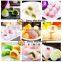 Encrusting and Forming Machines for Mochi Ice Cream Making