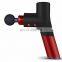 2021 Vivanstar 8806 Fascia Physiotherapy Own Label Kneading Massage Gun