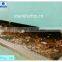 Fiberglass FRP piscina