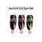 Aurora CatEye Gel Nail Art Match With Magnet