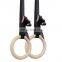 Hot Selling  Wooden Gymnastics Ring For Adjustment Of Shoulder Strap Strength Fitness Training Gymnastics Dip Ring
