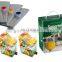 Automatic juice bag in box filling machine auto 1 to 30L fruit juice BIB packing equipment cheap price for sale