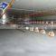 30000 Birds Chicken House A Large Scale Poultry Farm Building with low cost