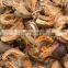 Raw Coconut With Best Quality/Cheap Raw Coconut Shells for making charcoal from Vietnam