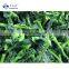 Sinocharm BRC-A approved New Crop  IQF  frozen Rape Flower