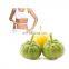 Factory supply Weight Loss Products water soluble garcinia cambogia extract