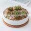 New Design Plant Pot Indoor Drawing Big 1 Piece Succulent 14 Inch Ribbed Large Low Bowl Planter Ceramic