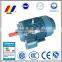 IE2 standard 220V asynchronous electrical motor