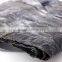 Japanses Food Good Dried Seaweed Kombu