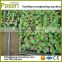 Easy to operate Vegetable transplanter | Seeding machine | Vegetable transplanting machine