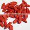 A Grade Goji berry/ dried goji berry Ningxia Goji Berry