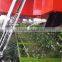 peanuts combined harvester machine