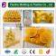 plastic product mold maker produce design