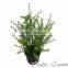 table centerpieces artificial Persian plastic plant bonsai tree for indoor decoration