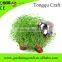 wedding gifts for guests chia pet party return gifts wholesale return gifts