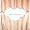 Wooden Natural Multi Watercolor Pencil