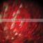 LED Watermark Light
